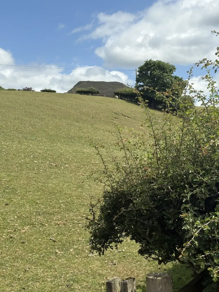 Oooo them giant circle peaks