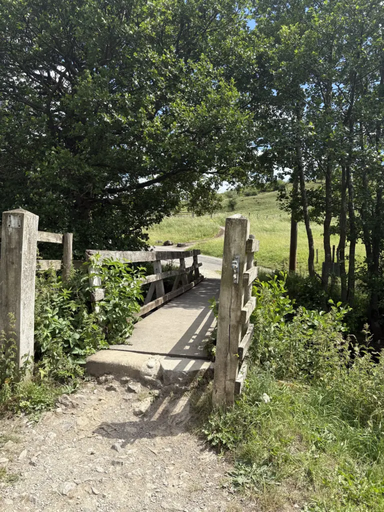 A walkers bridge crossing a ford